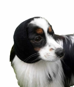 Happy Hoodie Black, X-Small