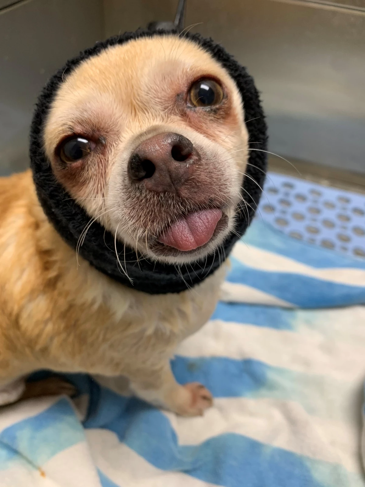 Happy Hoodie Pink, X-Small - Image 5