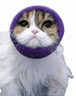 Happy Hoodie Purple, X-Small