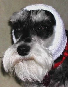 Happy Hoodie White, Pack Of 2 - Image 5