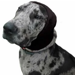 Happy Hoodie Black, X-Large