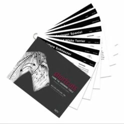 Shortcuts From The Grooming Table