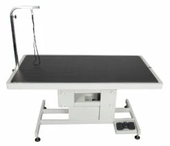 Shernbao Deluxe Electric Lifting Table - Medium