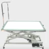 Shernbao Electric Lifting Table With LED Light