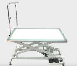 Shernbao Electric Lifting Table With LED Light