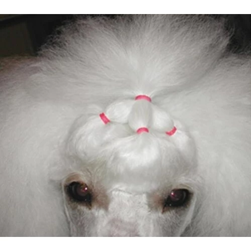 Show Tech Latex Bands Neon 1000pcs - Image 5