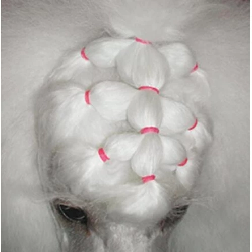 Show Tech Latex Bands Neon 1000pcs - Image 6