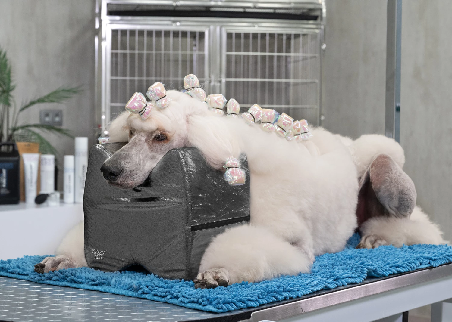 Show Tech Topknot Cushion Pillow Glitzy Black - Small - Image 4