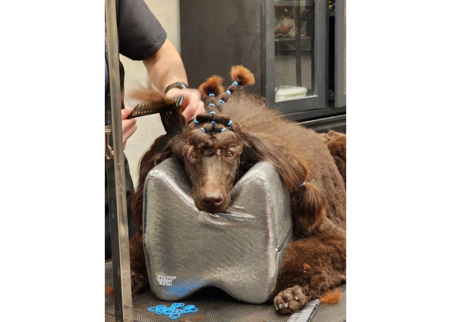 Show Tech Topknot Cushion Pillow Glitzy Black - Small - Image 5