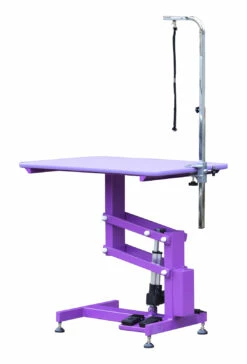 Aeolus Classic Z Shape Electric Lifting Table - Medium [Purple]