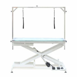 Aeolus Electric Lifting Table With LED Light