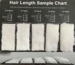 Aeolus Hair Length Sample / Clip Chart