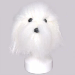 KissGrooming Head Hair For Teddy Bear And Bichon Model Dog [White]