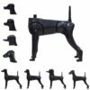 KissGrooming Model Dog 3-in-1 Mannequin Set