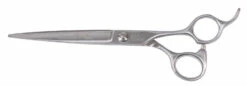 Swan Stainless Scissors - Straight 7.0" [Sliver]